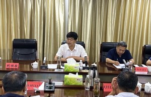 市扶持发展办组织召开全市乡村振兴示范村创建和扶持经济薄弱村发展工作调度会